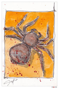 SPIDER