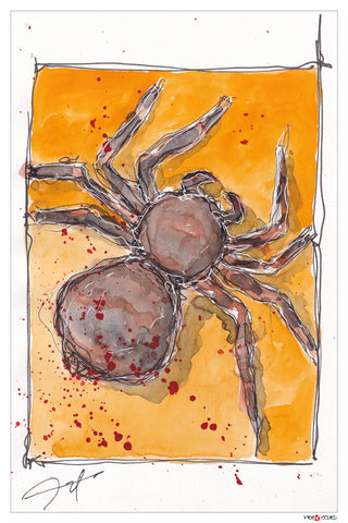 SPIDER